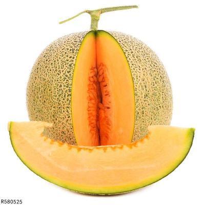 王八可以吃哈密瓜吗视频,一场意外的美食探索