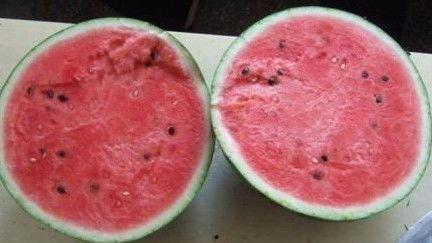 吃瓜视频1分钟,揭秘热门事件背后的真相