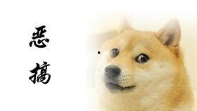 吃瓜视频大全撩妹,解锁撩妹新姿势，轻松俘获芳心