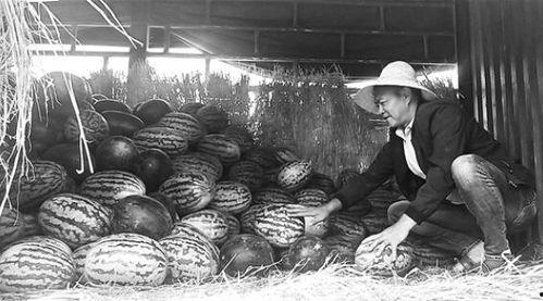 鹰潭吃瓜群众事件视频曝光,视频曝光揭示惊人真相