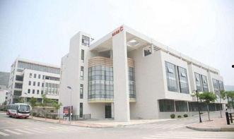 山东艺术学院吃瓜视频,揭秘校园生活趣味瞬间