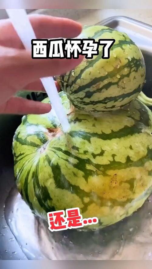 用叉子吃瓜的搞笑视频大全,笑料横生！搞笑视频大盘点