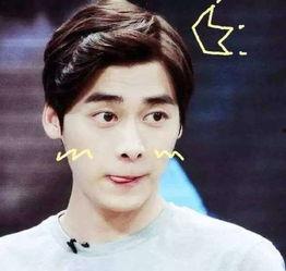 李易峰知乎吃瓜事件视频,揭秘娱乐圈背后的真相