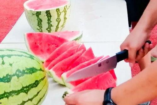 夏季趣味吃瓜比赛视频,趣味吃瓜大赛欢乐瞬间大盘点