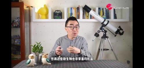 吃土瓜的视频,一场味蕾与自然的邂逅之旅