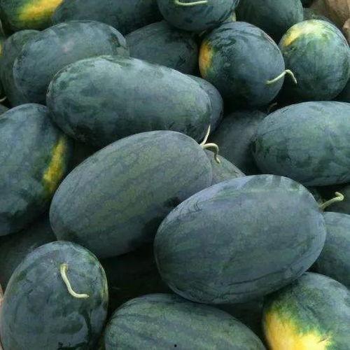 青岛戈优视频吃瓜,一场别开生面的吃瓜盛宴