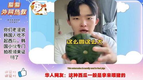 吃瓜拍了很多视频怎么办,海量视频记录吃瓜瞬间