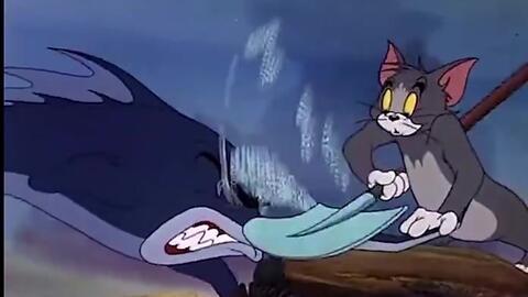 猫吃瓜睡觉的视频,萌态十足!