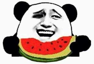 我们是吃瓜群众视频,一场全民参与的娱乐盛宴