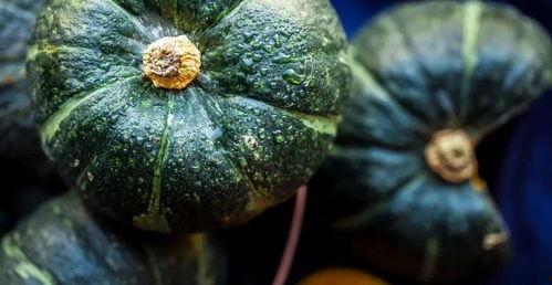 半年吃瓜真实经历视频,娱乐圈幕后真相大曝光