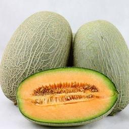 大恶魔吃哈密瓜的故事视频,一场甜蜜的救赎之旅