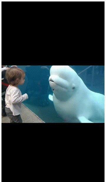 明星吃瓜震惊全网视频,全网热议，揭秘娱乐圈幕后真相