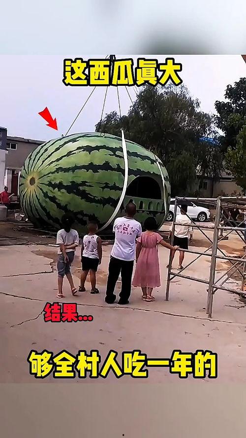 吃瓜人真搞笑视频,视频里的欢乐瞬间