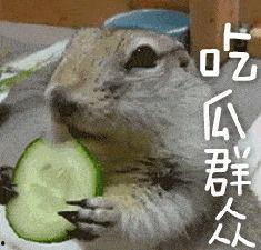 带你吃瓜搞笑鸭子视频,带你笑翻天！