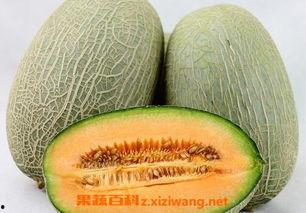 哈密瓜怎么切开送人吃视频,视频教学轻松切开分享美味