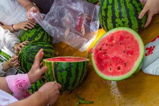水里吃瓜视频,一场别开生面的水下美食之旅