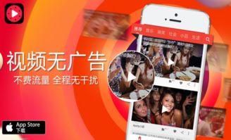 宣传吃瓜视频犯法吗,法律边界与风险警示